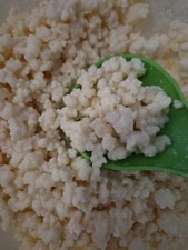 5g Live Organic Milk Kefir Grains