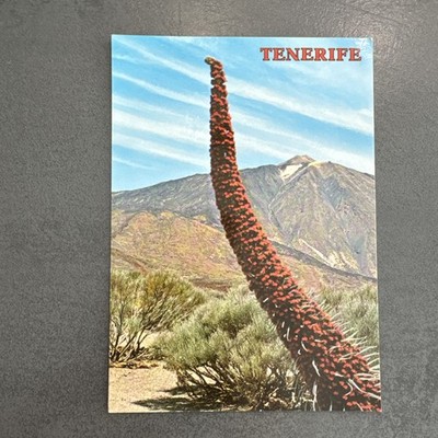 Postkarte Teneriffa El Teide & Tajinastes Ansichtskarte Ak 2199