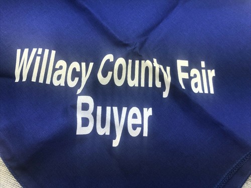 2 Willacy County Fair Texas Buyer Bandannas Blue Handkerchief RGV Raymondville - Picture 1 of 3