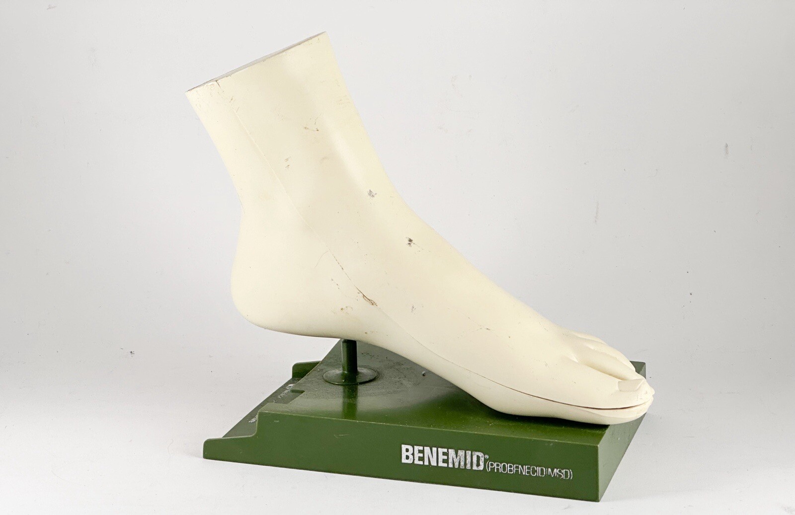 Merck Sharpe & Dome Anatomic Foot Model
