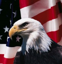 Address Labels - Patriotic - Eagle w/Flag 25