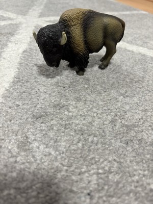 Schleich Bison 14714 Sammlerstück