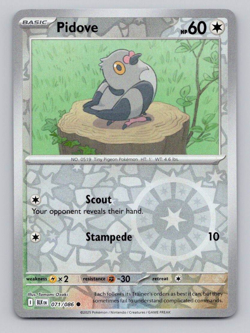Pidove 071/086 Common Black Bolt Pokemon Reverse Holo Near Mint