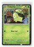 Perfect Order - Chikorita - Black Star Promo - 69 Cosmos Near Mint