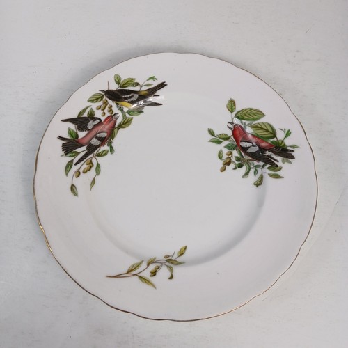 3 Vintage Tuscan Bone China England Audubon Birds Chickadee Salad Dessert Plates - Picture 4 of 8