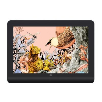 XPPen Artist Pro 16 (Gen 2) Graphics Drawing Tablet 16384 Levels