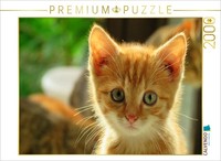 Calvendo Puzzle Red Cat | 2000 Pieces, Finished Size 35.4 × 26.4 In (90 × 67 Cm)