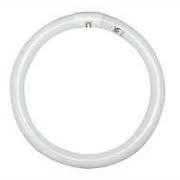 Neon Circolare 22w G10q 6500k  3F.C22