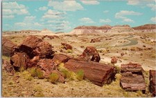 Vintage Petrified Forest Nat'l Park Long Logs Postcard Arizona 1950s