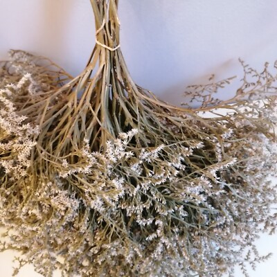10 Stiele Getrocknete  Statice Tatarica Strandflieder Trockenblumen Boho Style