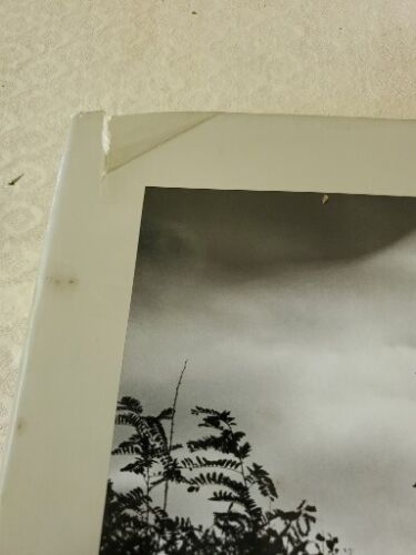 Andre Kertesz, His Life and Work, 1994, 1st Edition, HB, DJ - Foto 3 di 4