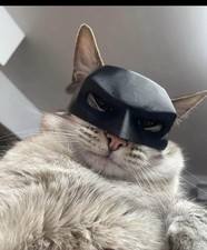 Batman Cat Mask