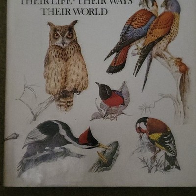 Reader s Digest Birds: Their Life, Their Ways, Their World HC 1979 Illus 7th
