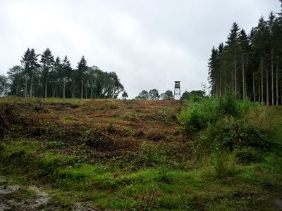 Foto A2 Wachturm südlich Ofenteich Elmers Sumpf um 2011