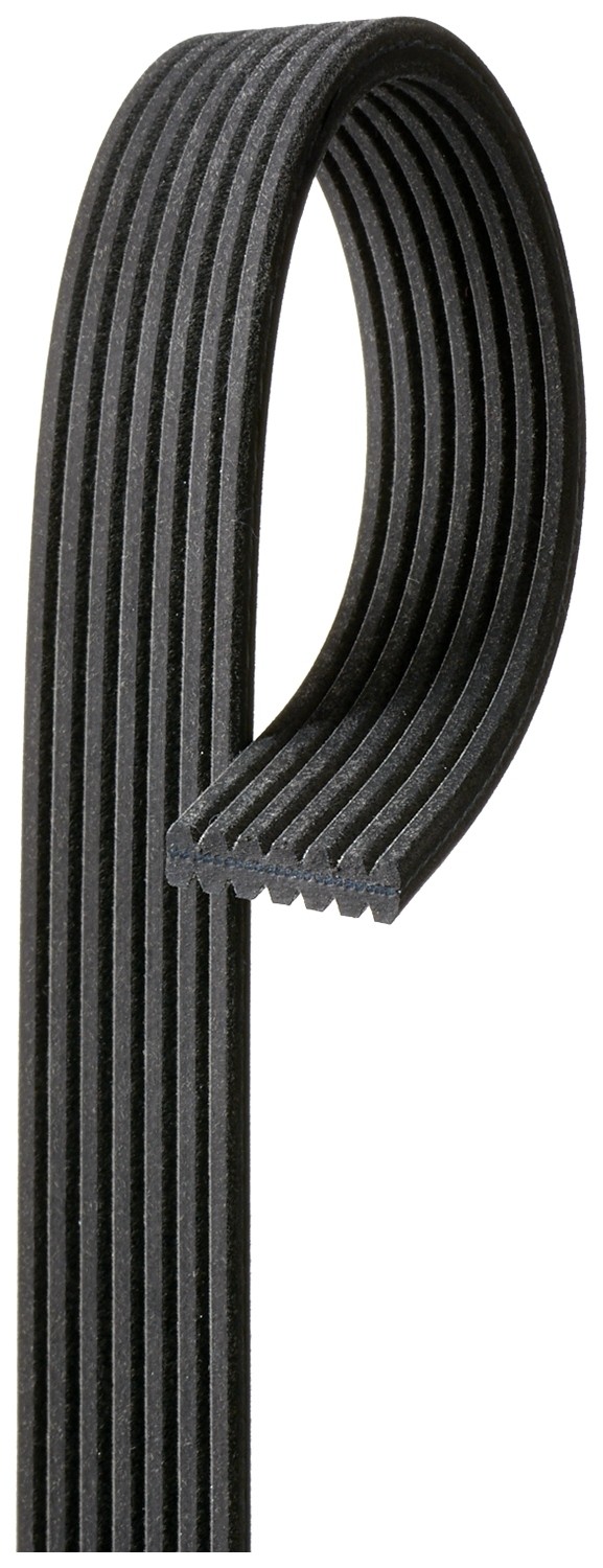 GATES-OE 7DPK1560 V-Ribbed Belt for VW