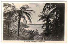 c1930 Real Photo Postcard: The Green Lake - Te Wairoa, NZ – a/s: J. Batchelor