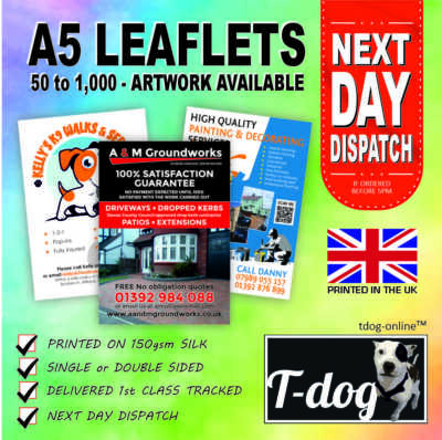 A5 Flyer Prospekte vollfarbig bedruckt 150 g/m² Seide - A5 Flyer Druck
