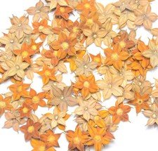Star Shaped Yellow Pressed Flowers 05 Petals Cute Natural Floral Resin Materials