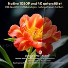 Zdjęcie 7 z 16
