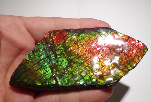 105 Gramm. GEM Sammler Ammolite /Drachenschuppe Rot Grün-Golden-Orange   + VIDEO - Bild 2 von 9