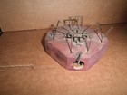 Wonderful old original early wood Chocker Mouse Trap in excellent condition — photo 3