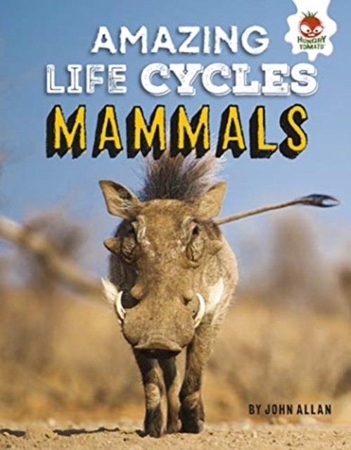 Amazing Life Cycles- Mammals by John Allan (Paperback Book)
