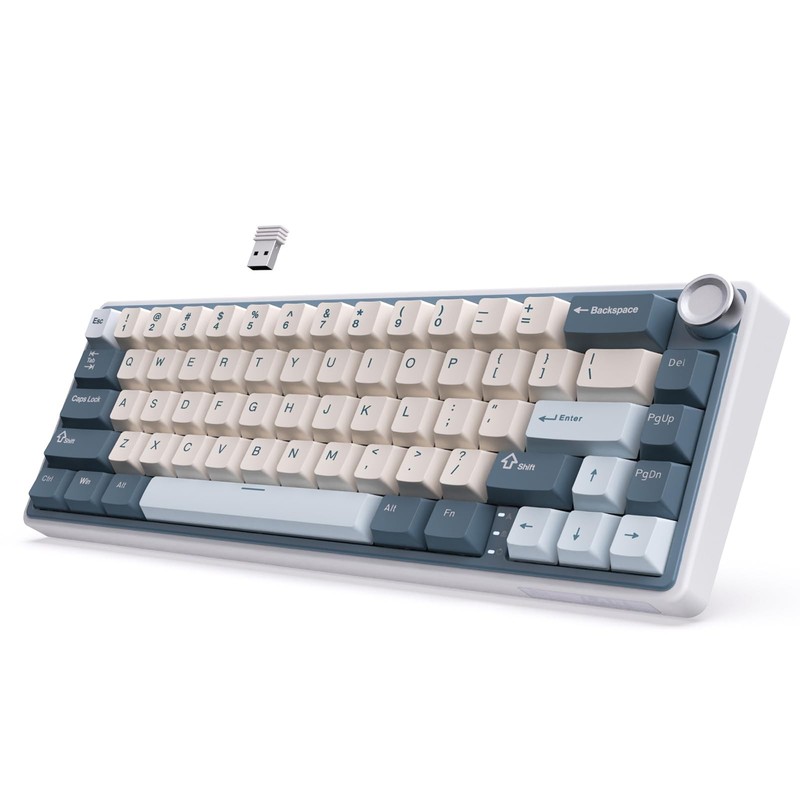 RK ROYAL KLUDGE R65 Mechanical Keyboard Wireless with Volume Knob, Gasket