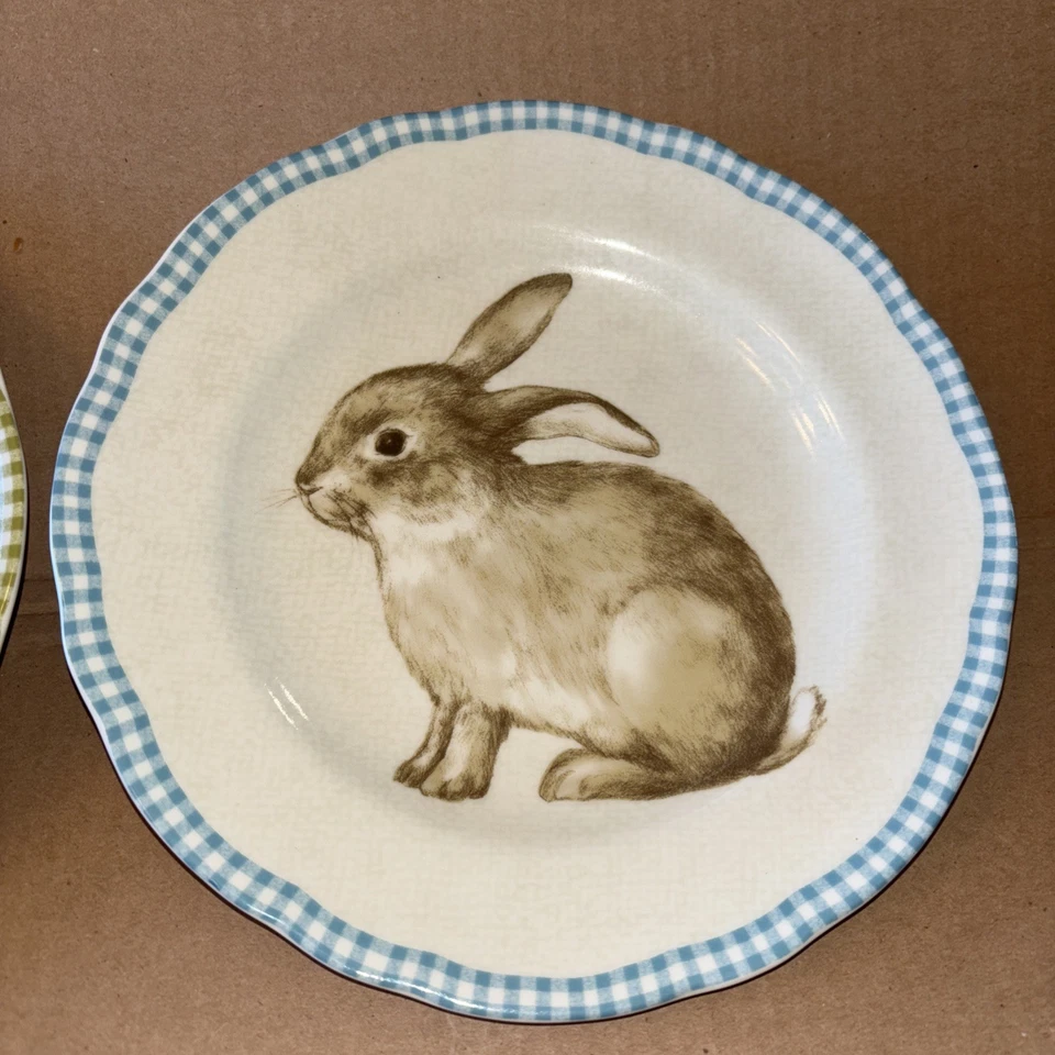 "Juego de 4 222 platos de ensalada festoneados Fifth Bunny Land Gingham Check Border 8,5"" 1B" Foto 3 de 4