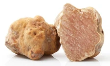 40g 1.41oz Fresh White ALBA TRUFFLES Tuber magnatum ITALY DELI MUSHROOM TOP P