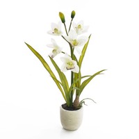 Artplants KüNstliche Cymbidium Orchidee Nala, 1 Zweig, Im Topf, Creme