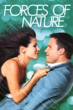Forces of Nature (DVD, 1999, Wide) *DISC ONLY* NO CASE NO TRACKING
