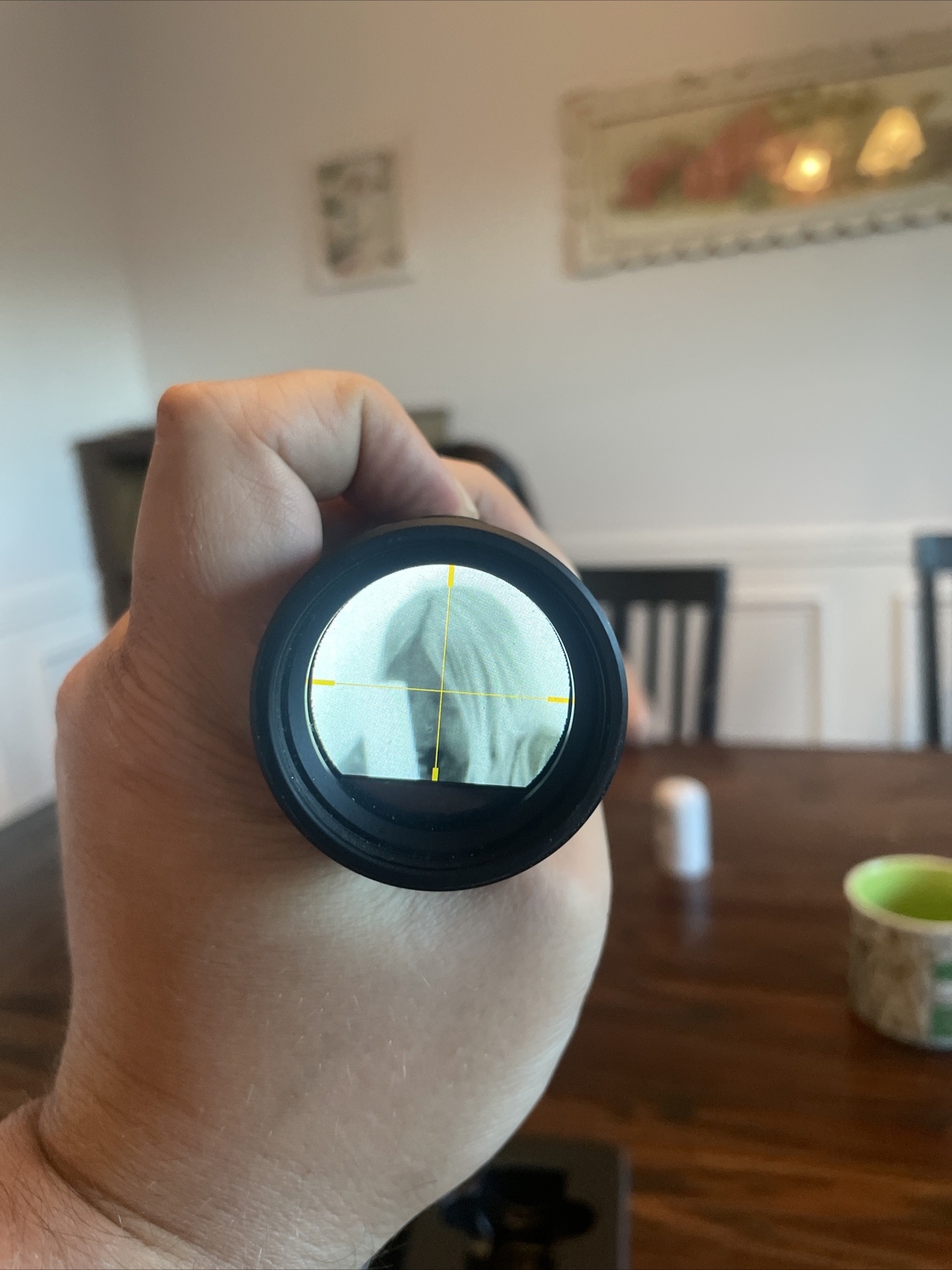 Leupold LTOTracker Thermal Imaging Game Tracking Monocular. Tacos Y Mas