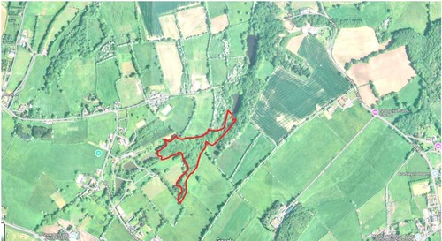 4.5 ACRES WOODLAND NATURE RESERVE WOODS WOOD WITH STREAMS WATERFALLS & BRIDGES - Picture 21 of 22