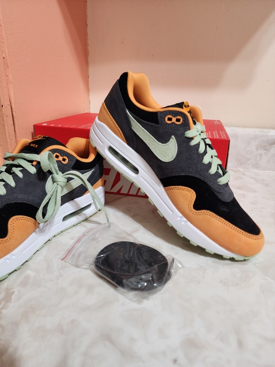Nike Air Max 1 Ugly Duckling Honey Dew (DZ0482-001) Men