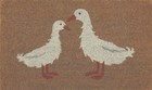 Foto 13 di 57