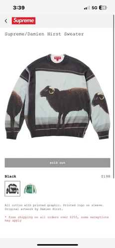PULL MOUTON SUPREME / DAMIEN HIRST LARGE ✅ EN MAIN