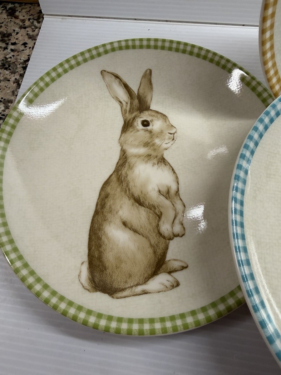 222 Fifth Bunny Land Rabbit Gingham Edge Easter Salad Plates 8