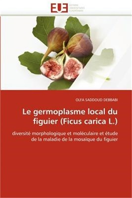 Le Germoplasme Local Du Figuier (Ficus Carica L.) (Paperback or Softback)