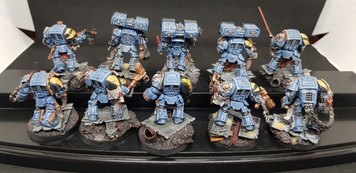 10 x Wolf Guard Terminators bien pintado Warhammer 40k Space Wolves Marines GW - Imagen 7 de 13