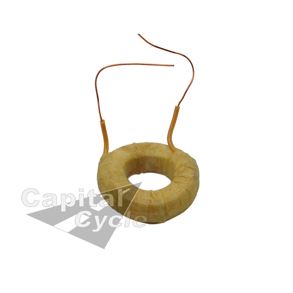 BMW Exciter Winding Number 3 Field Coil 3 R24 R25 R25/2 R25/3 R26 R27