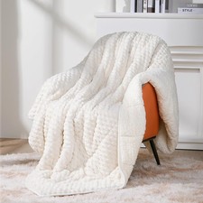 Topblan Weighted Blanket for Adults, 60" x 80" 15lbs, Soft Sherpa Queen Size Hea