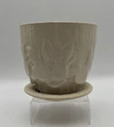 Vtg Cream Mccoy sand dollar Planter Flower Pot