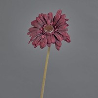 Artplants Kunstblume Gerbera Tunguska, Trockenoptik, Burgunderrot, 50Cm