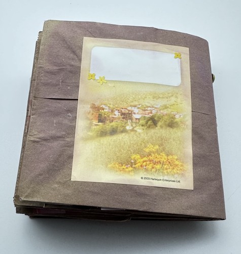 Bolsas de papel marrón medio temático divertido diario y extras aprox 6x5 pulgadas - Imagen 10 de 13