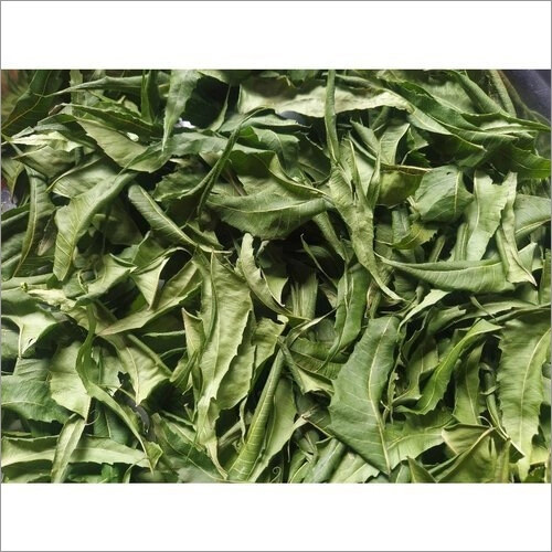 Dried Neem Whole Leaves 50G Azadirachta Indica Organic FOR HAIR AND BEAUTY - Bild 9 von 11