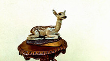 TROFEO DI CACCIA TASSIDERMIA CERBIATTO BAMBI CERVO CAPRIOLO TAXIDERMY NO BIRD