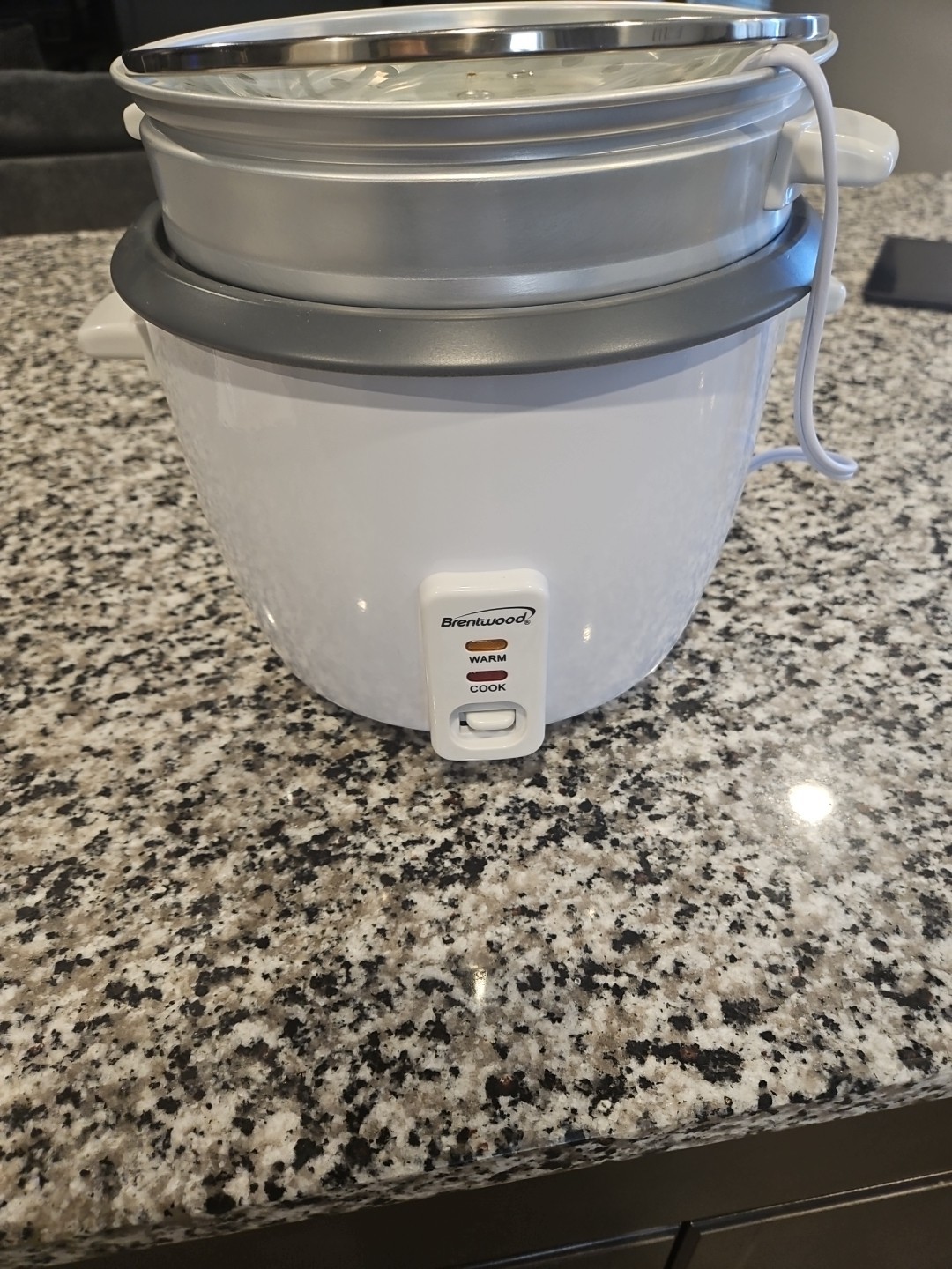 And Food Steamer, White