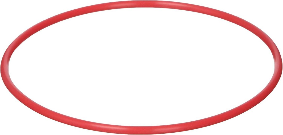 Olympus O-Ring POL-037A zu PT-037 Gehäuse - - ask us about