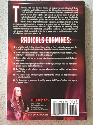 Radicals Why Tomorrow Belongs to Post-Denominational Christians Rev Donna Howell - Picture 2 of 2