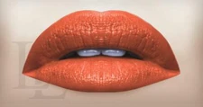LIPLAND COSMETICS MATTE LIPSTICK LIP LIMITED EDITION ORANGE JULIUS 4g/0.14oz NIB